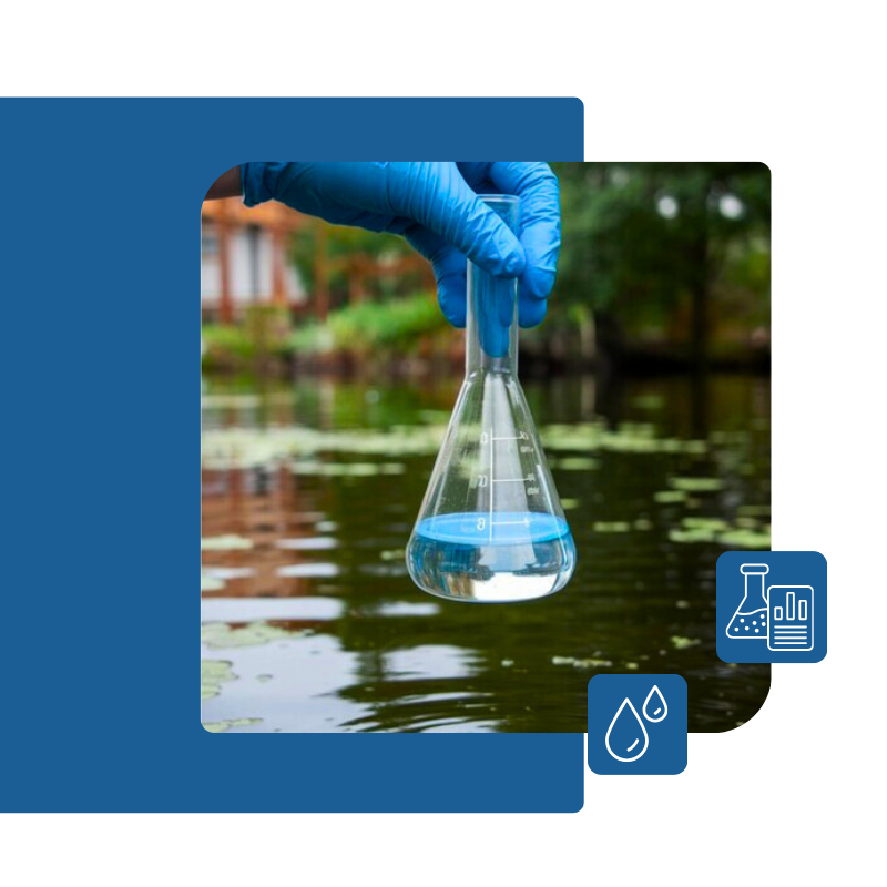 Design sem nome - 2025-01-16T170225.161